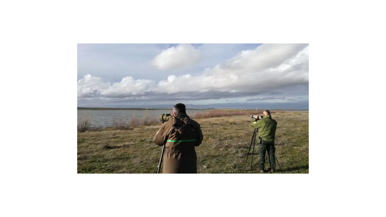 CENSO DE AVES ACUÁTICAS INVERNANTES EN CASTILLA Y LEÓN